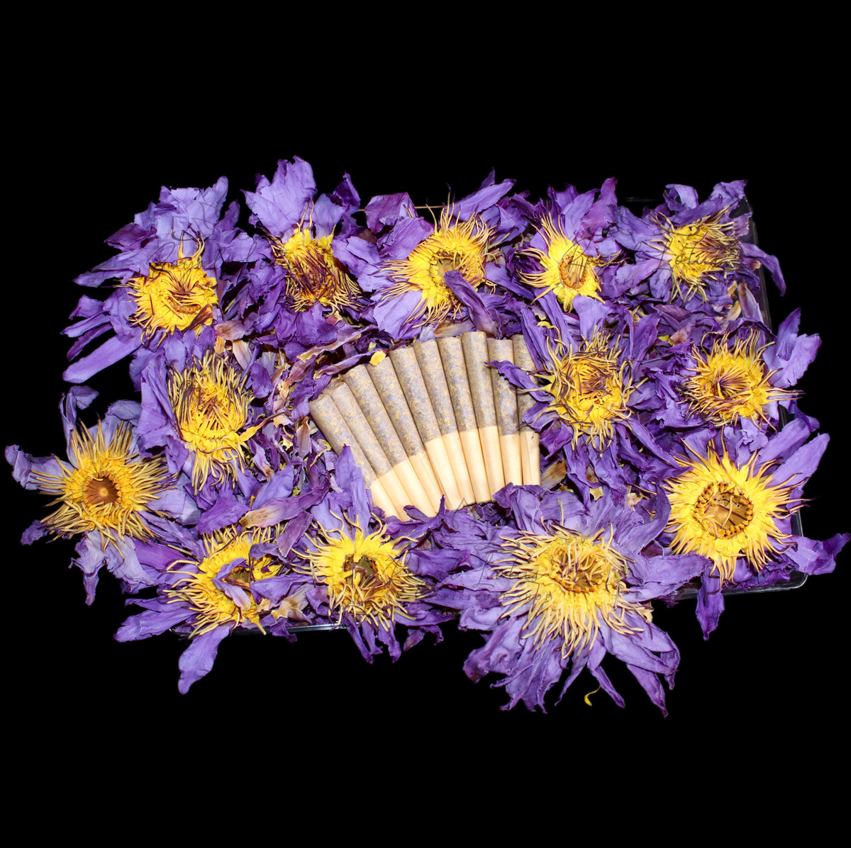 Lotus Floral in Purple by New Vintage Handbags