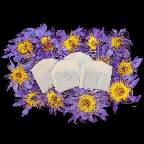 Blue Lotus Flower Tea Bags