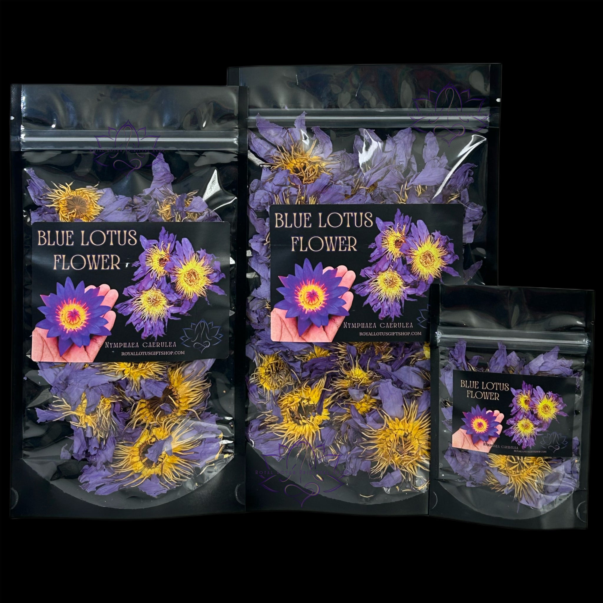 Whole Blue Lotus Flower – Royal Lotus Spiritual Shop