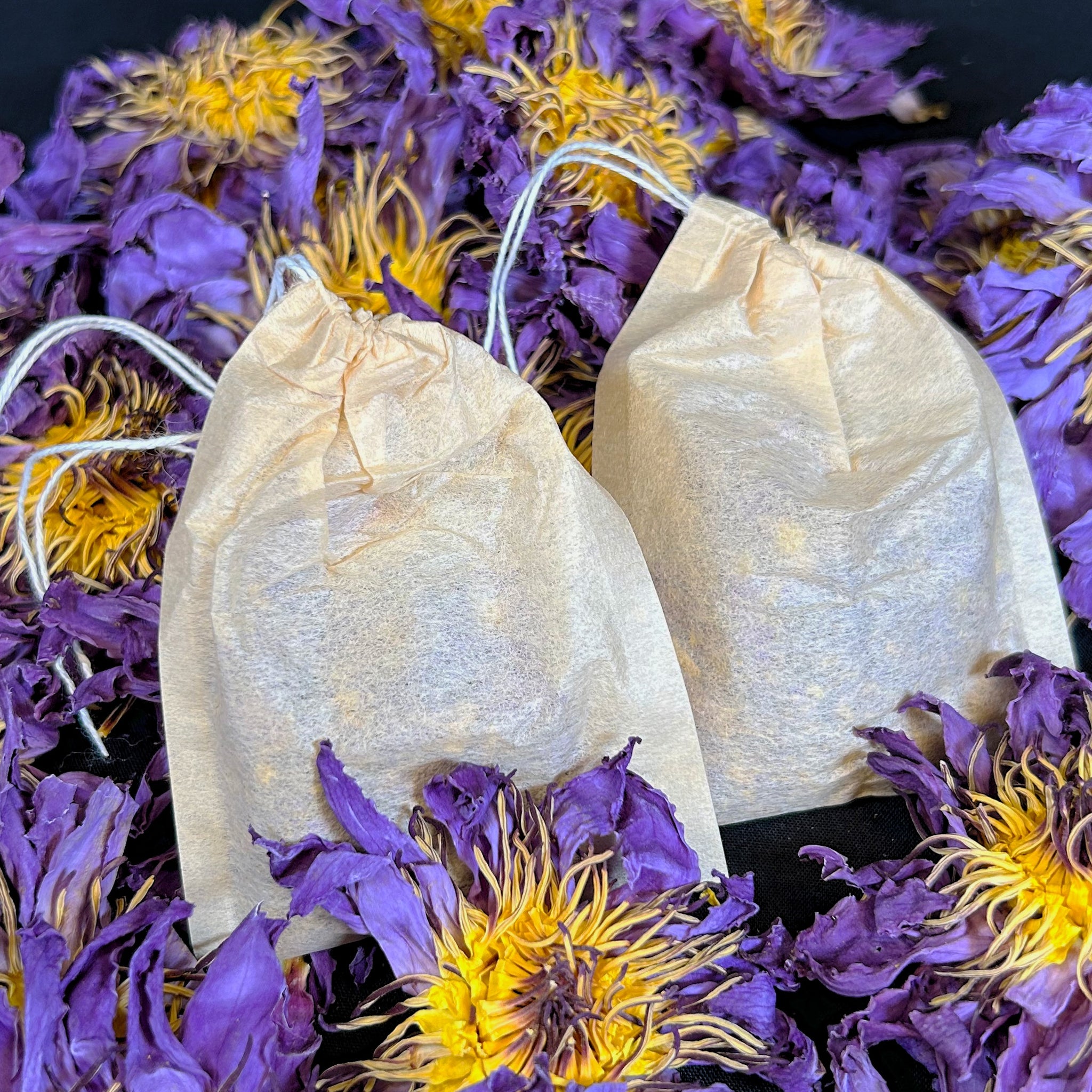Blue Lotus Flower Tea bags